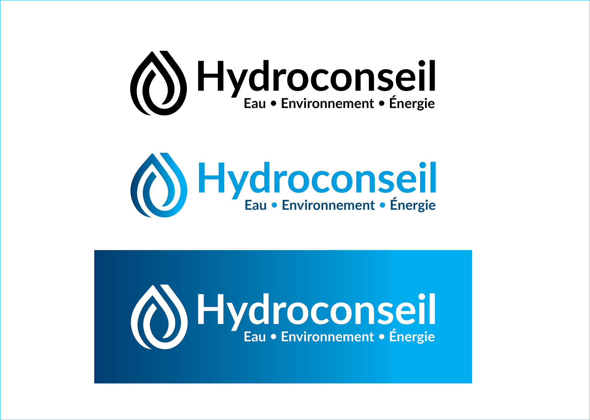 Hydroconseil: Logo developement